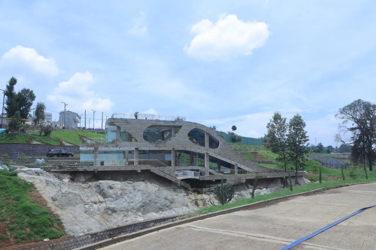 Lush minimalist landscape garden